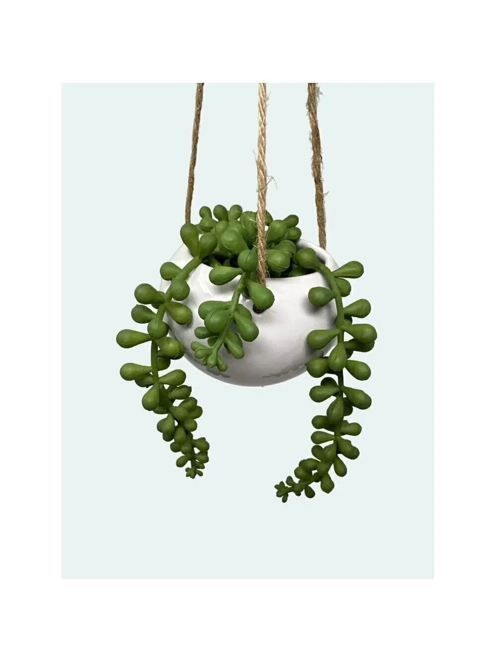 Artificial Hanging Miniature Succulent Plant Faux Fake String of Pearls Ceramic1